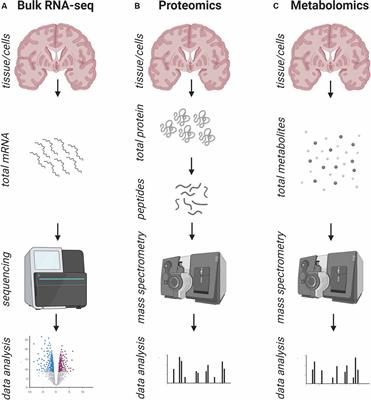 What Have Advances in Transcriptomic Technologies Taught us About Human White Matter Pathologies?